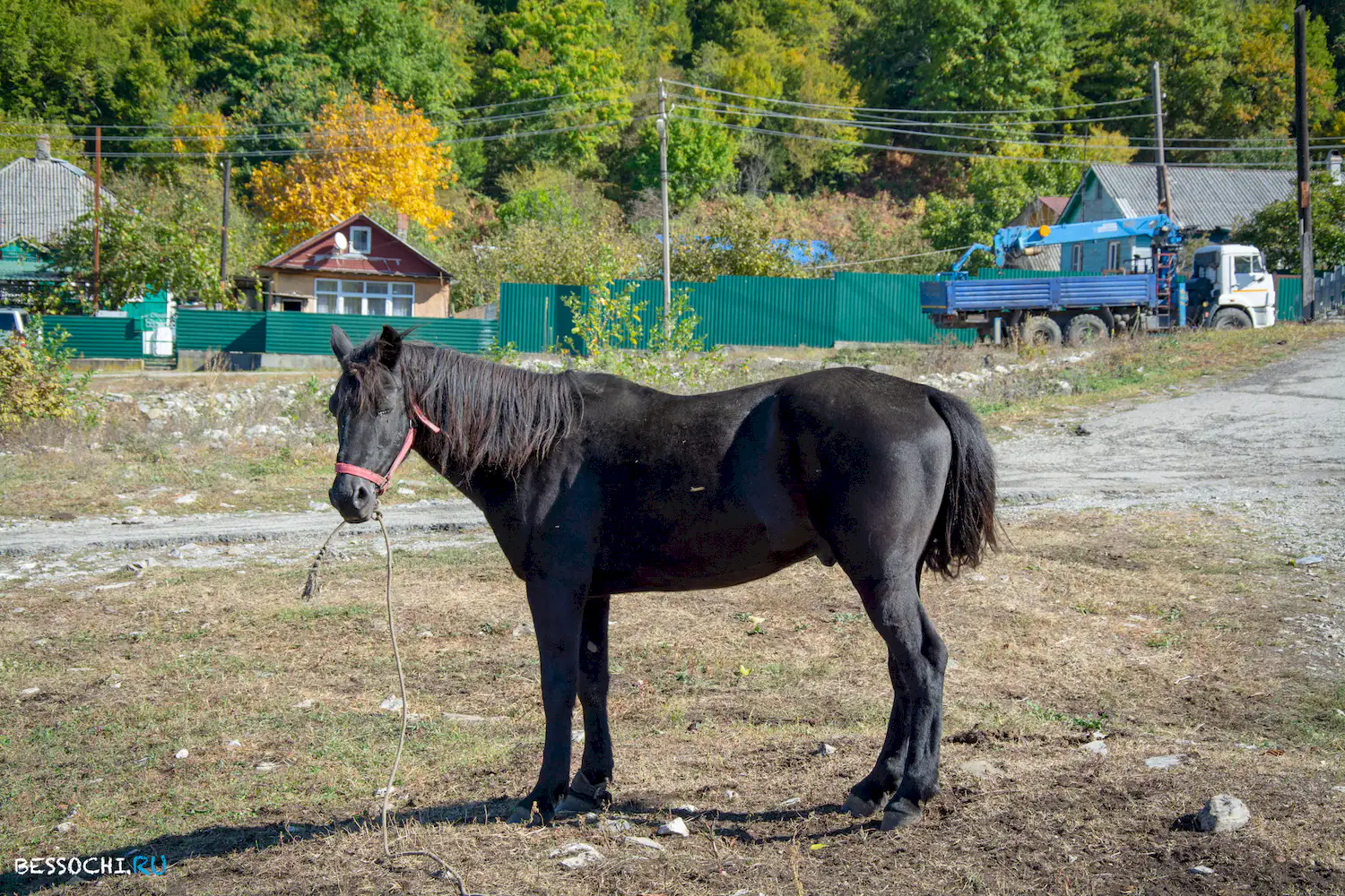 аул Калеж