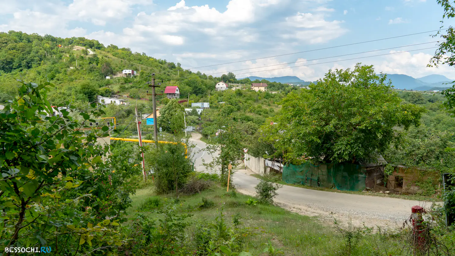 Красная воля