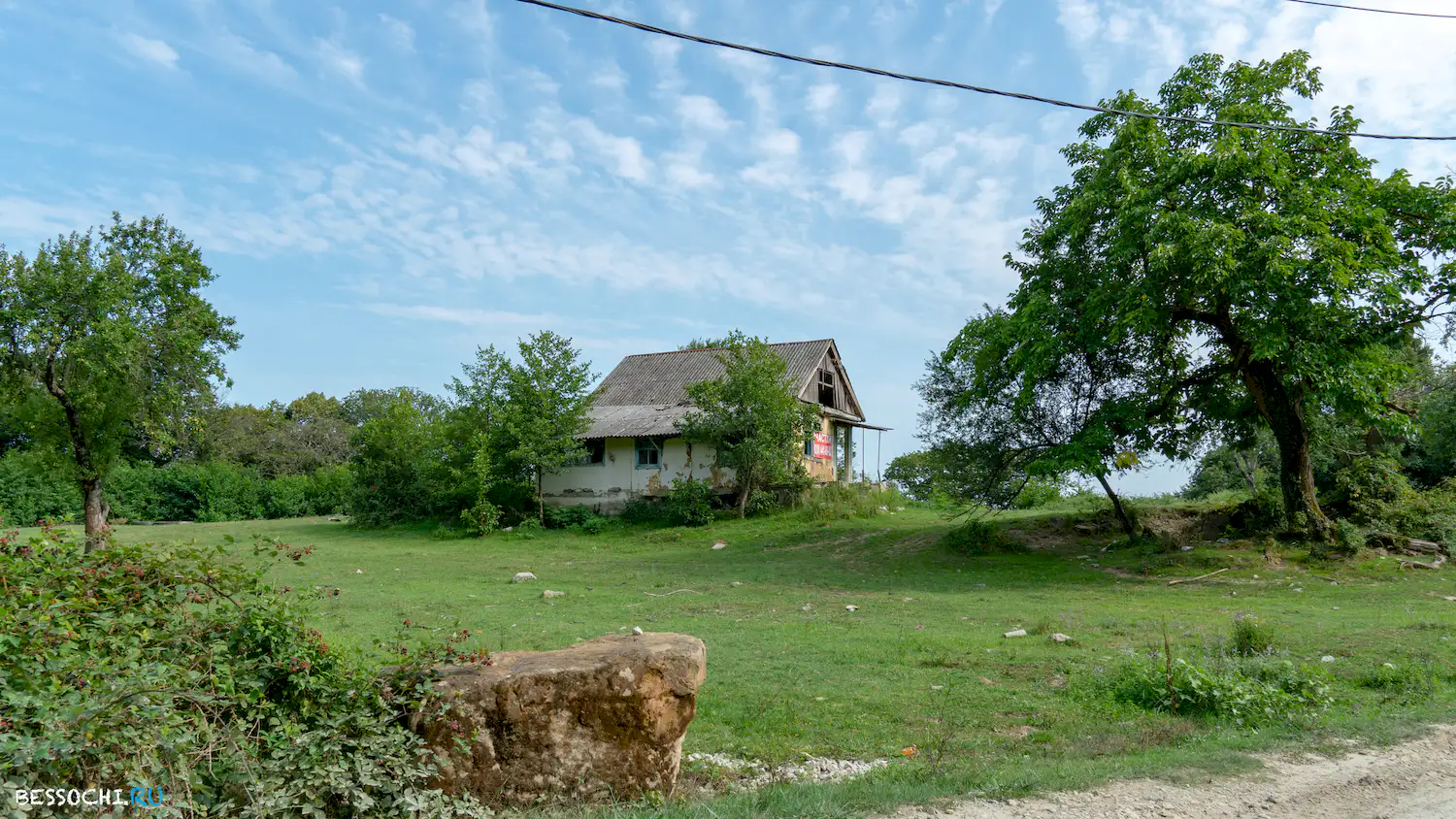 Каштаны