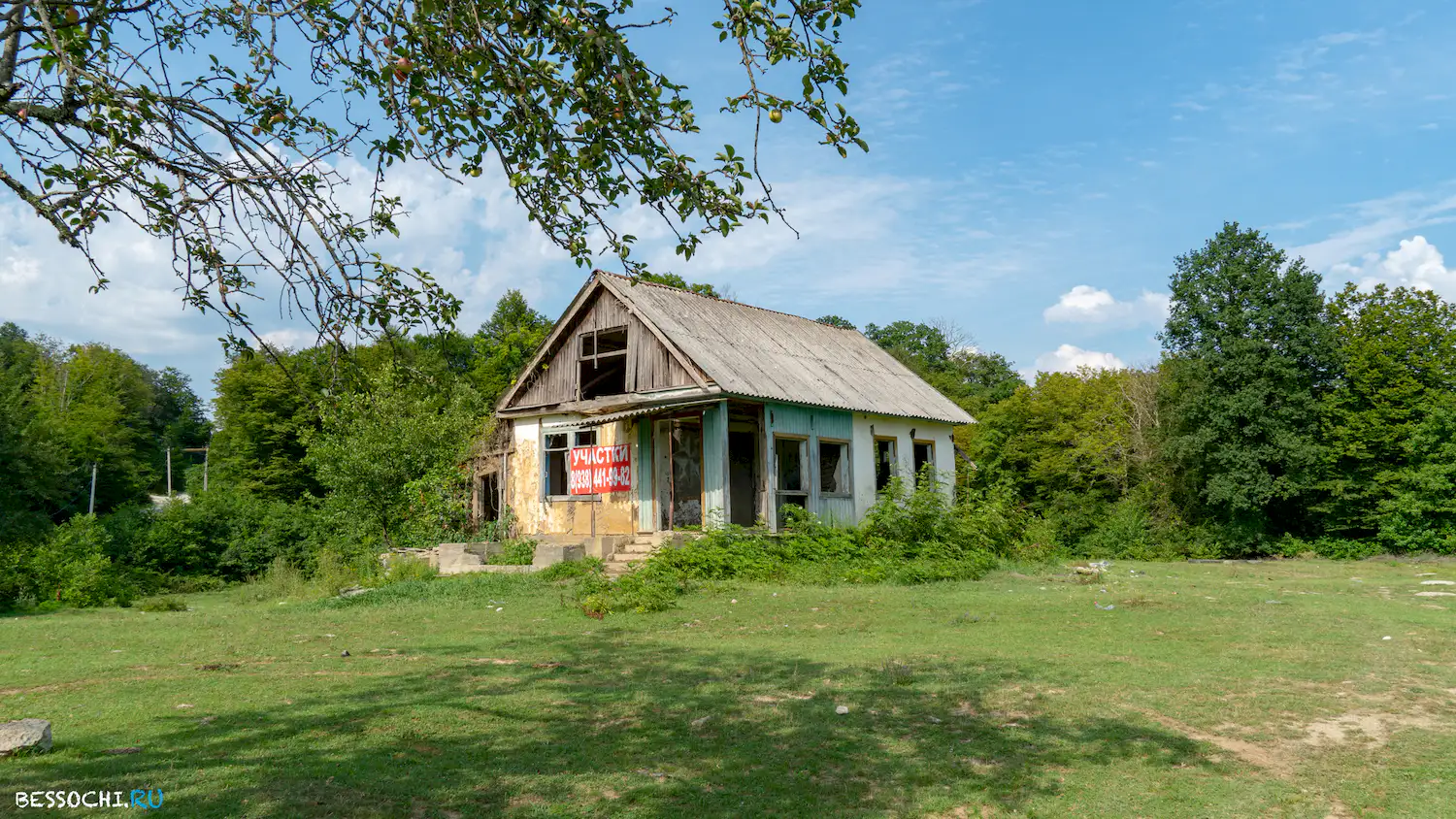 Каштаны