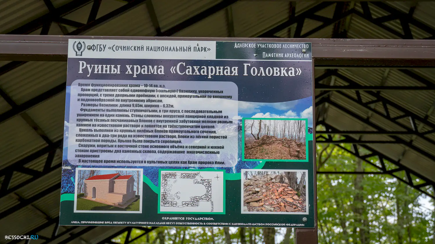 Сахарная головка