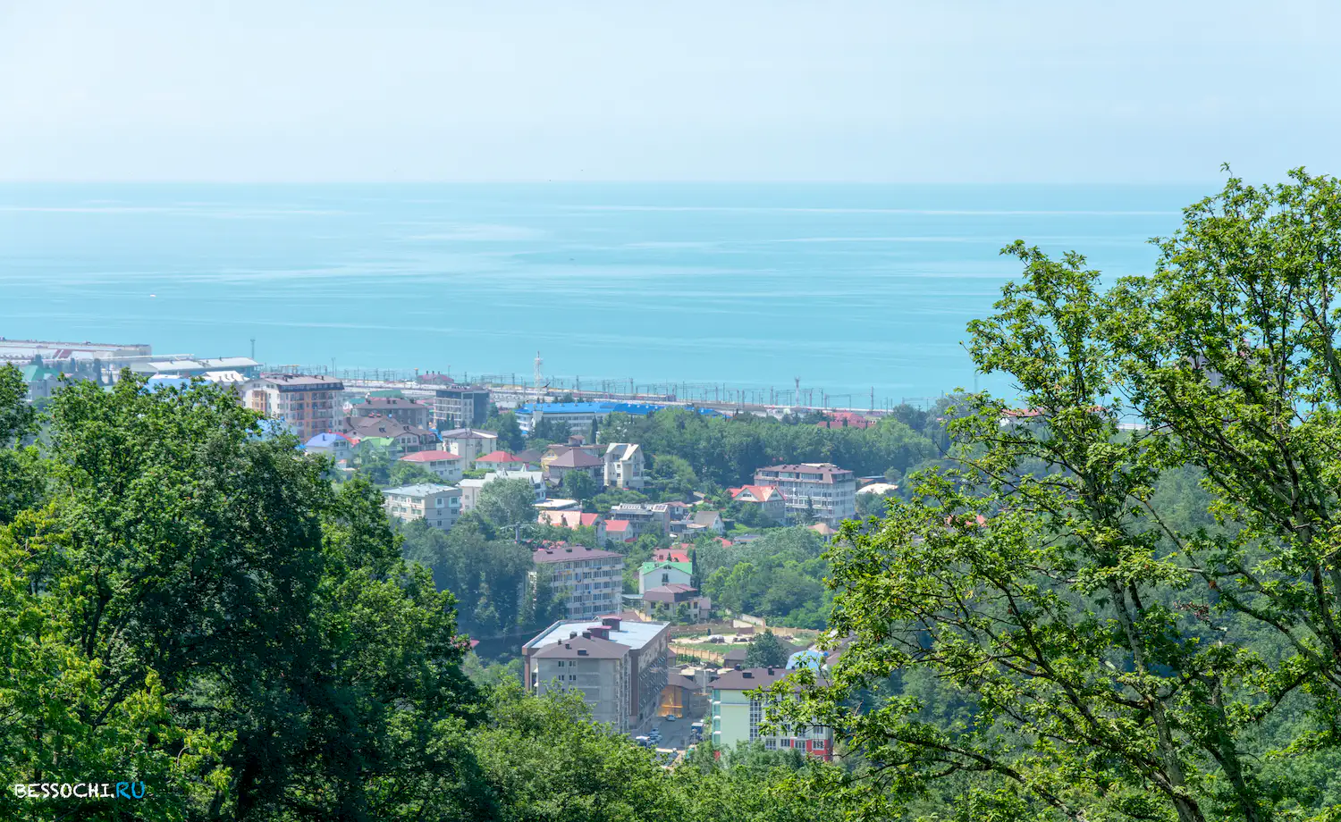 Адлер