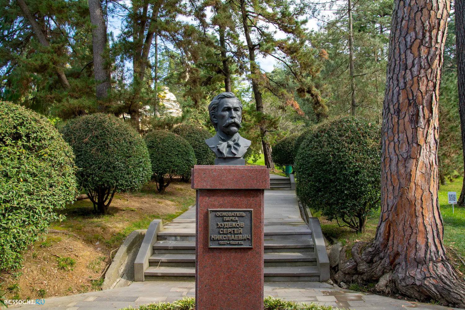 Дендрарий