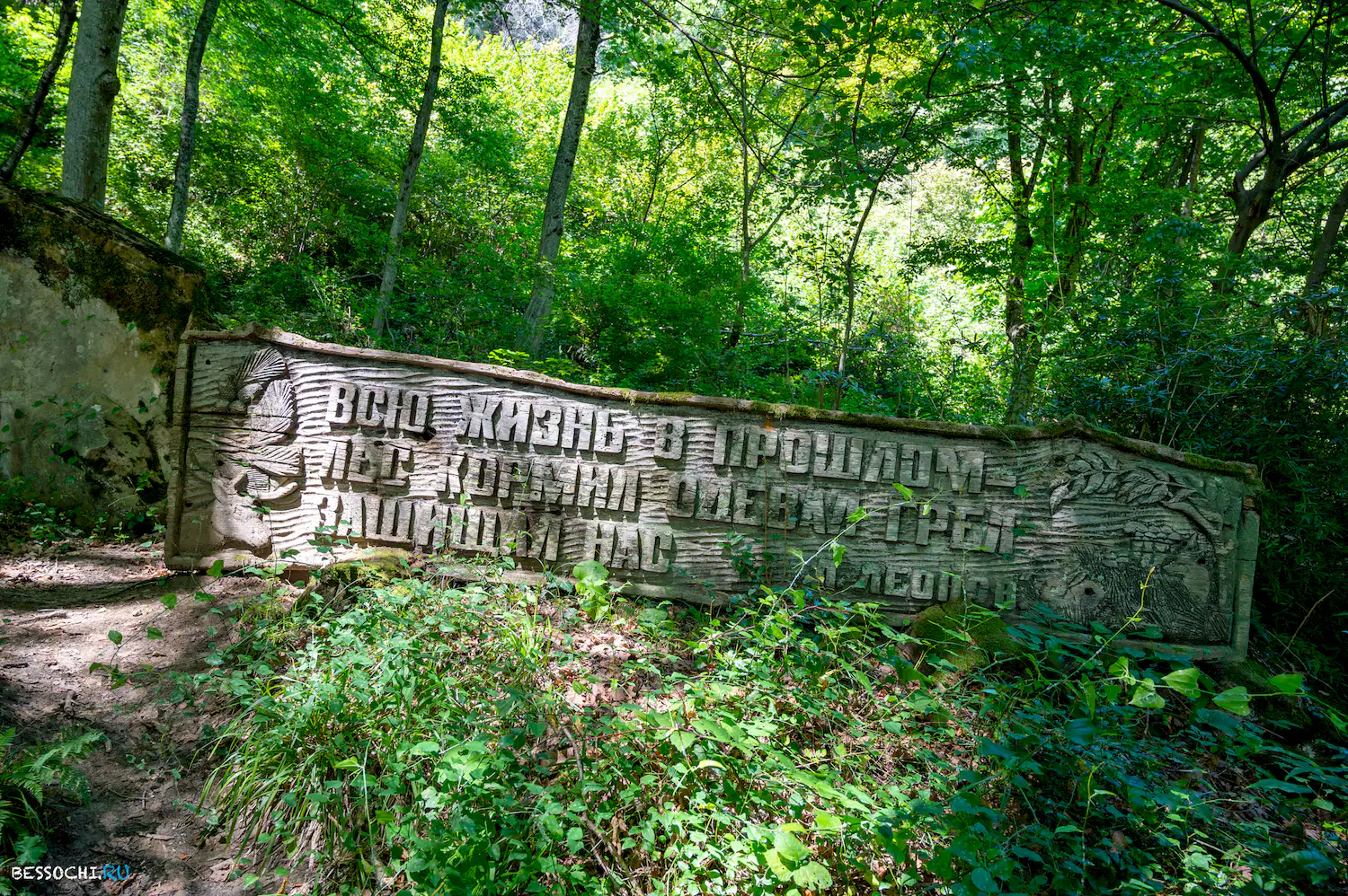 Бытхинский лесопарк
