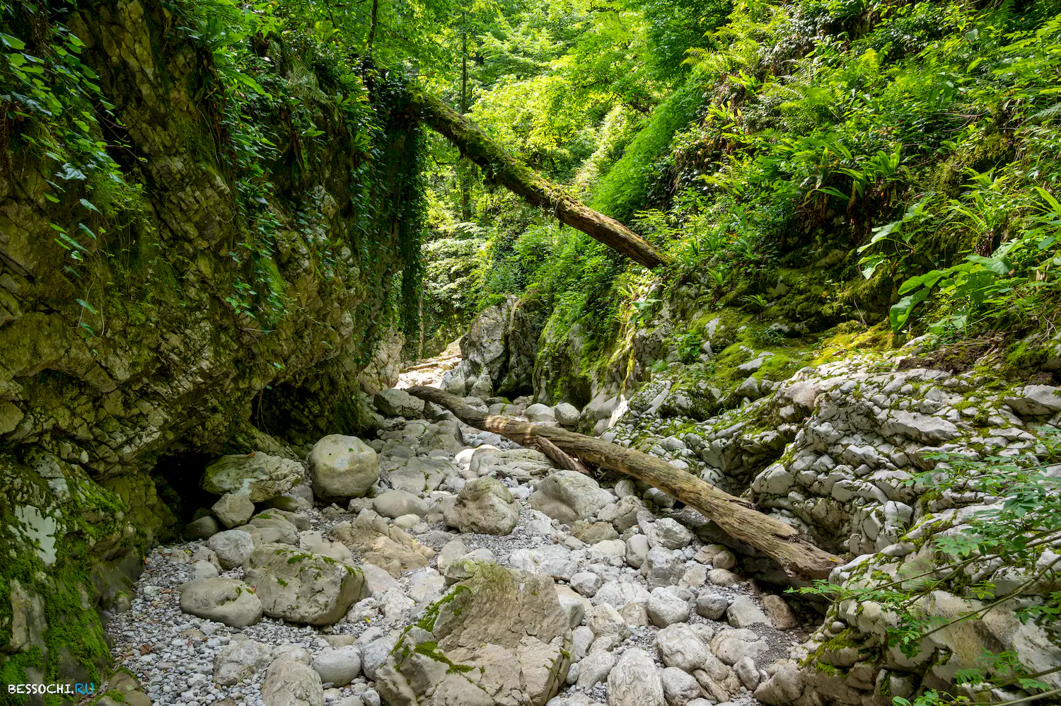 каньон реки Хоста