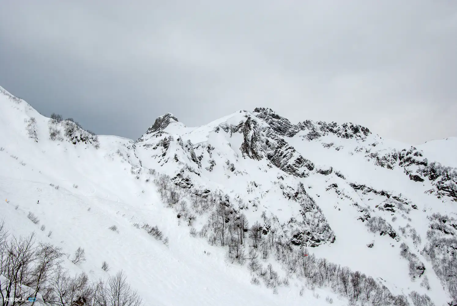 альпика сервис