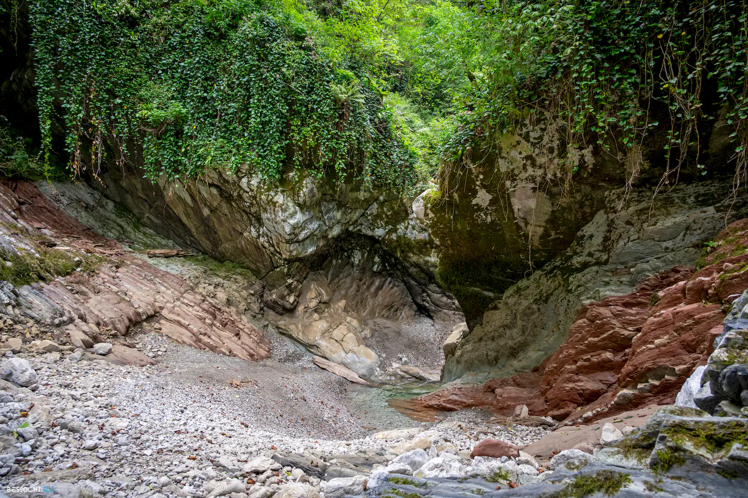 Царские ворота