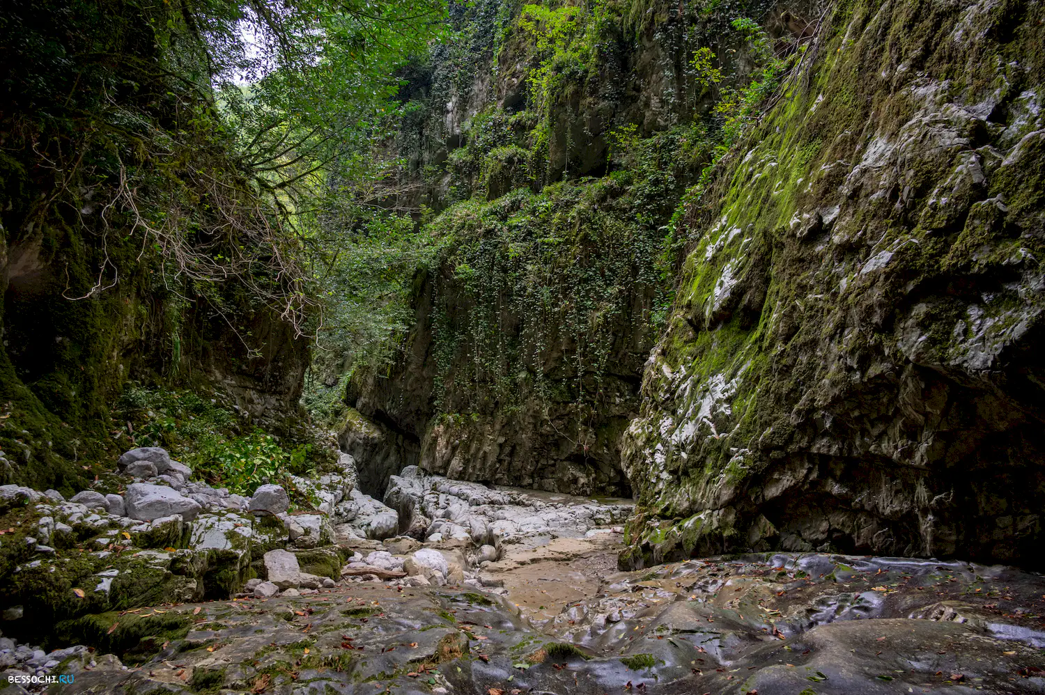 Царские ворота