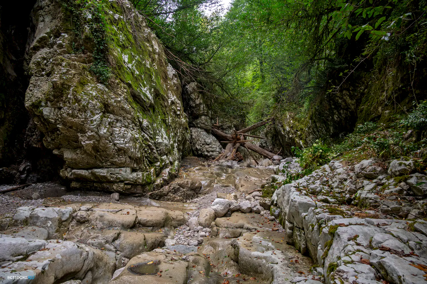 Царские ворота