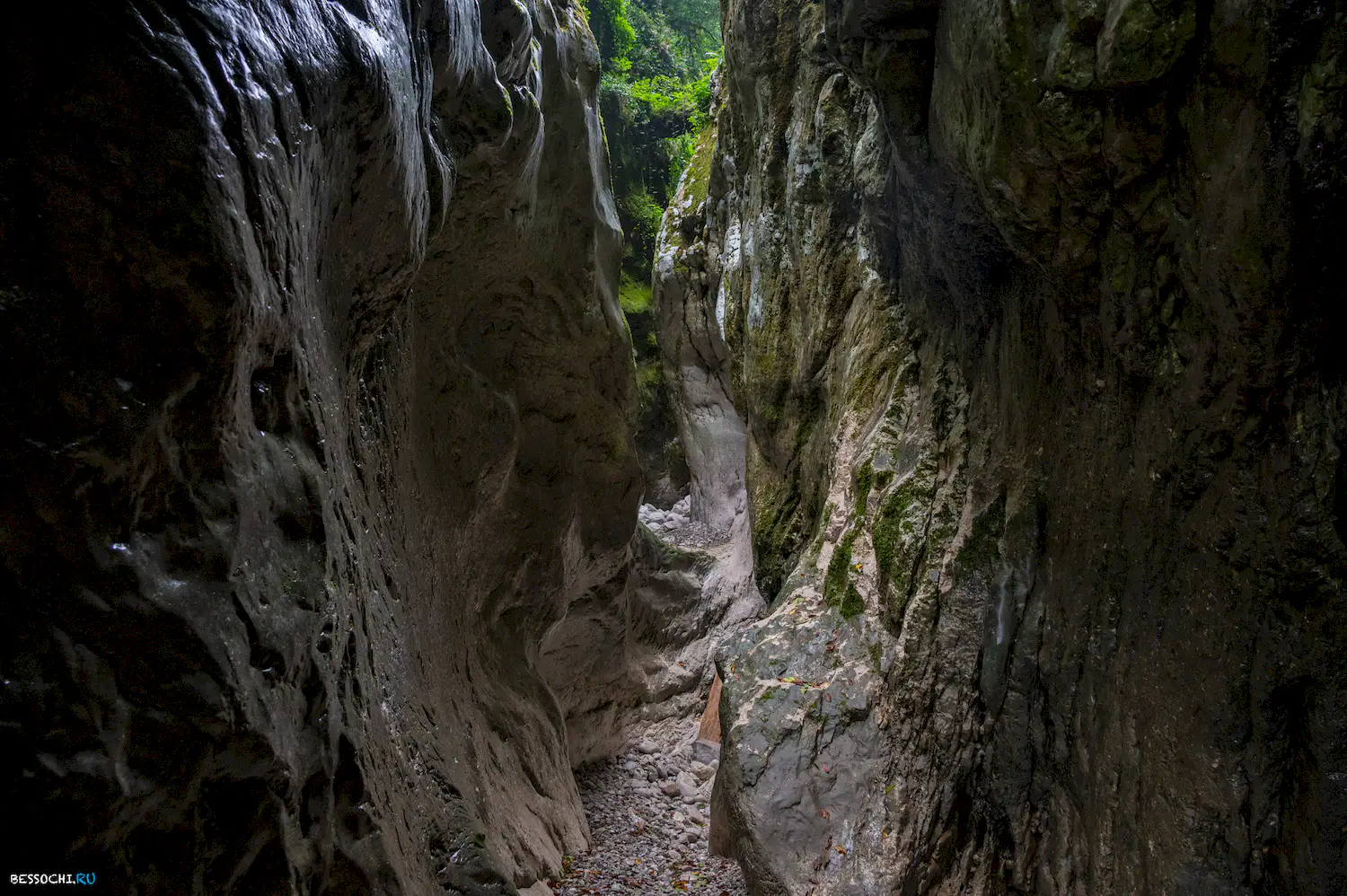 Царские ворота