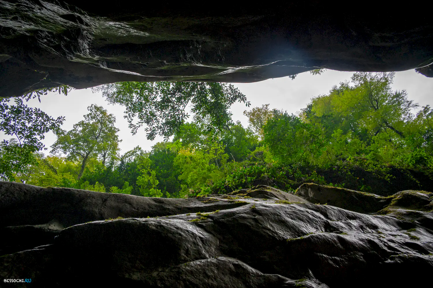 Царские ворота