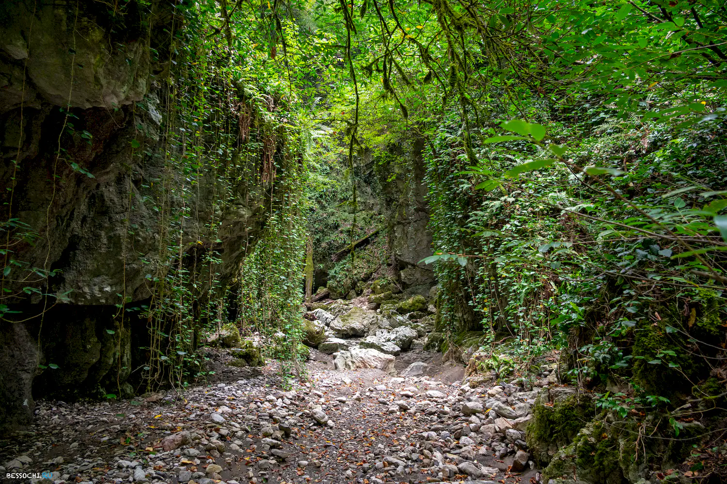 Царские ворота