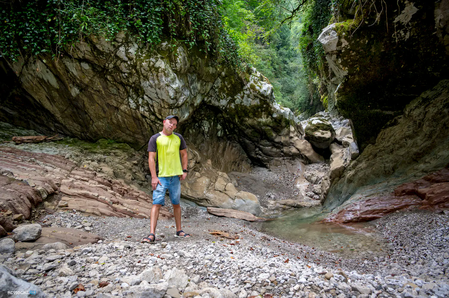 Царские ворота