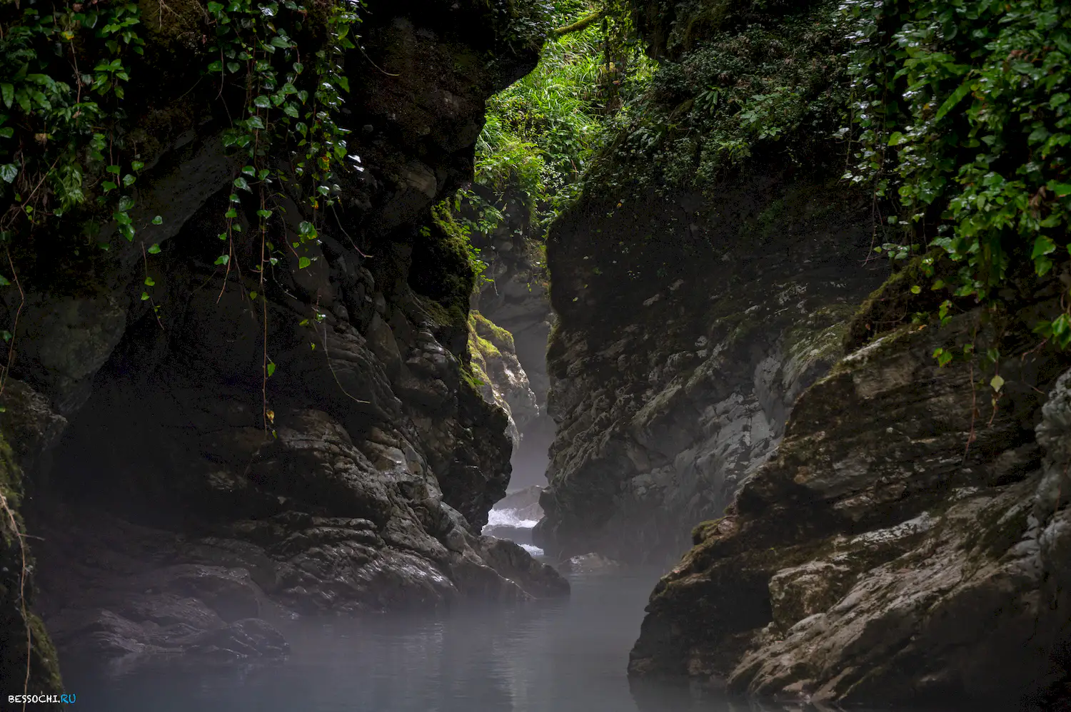 Царские ворота