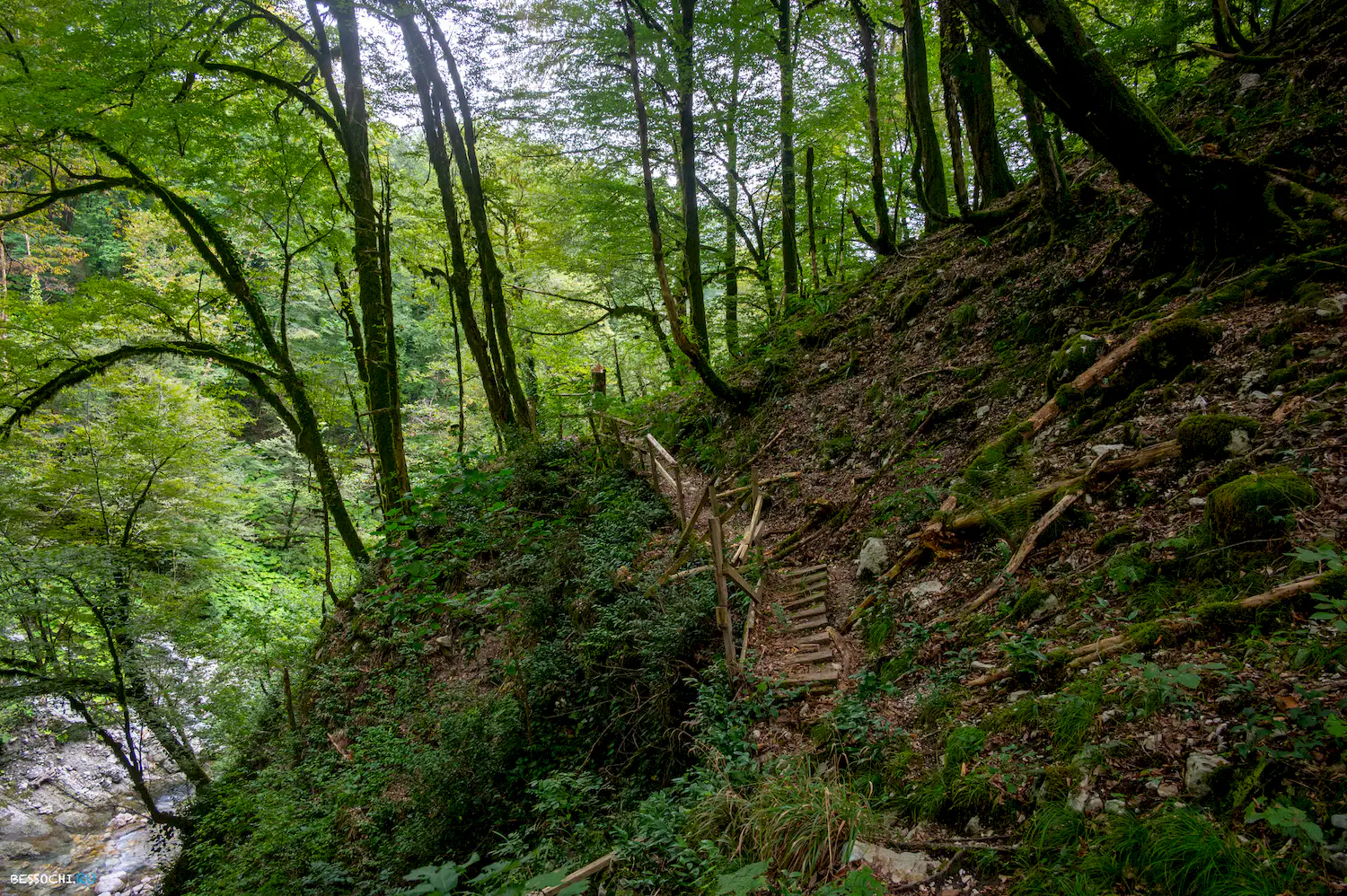 Царские ворота