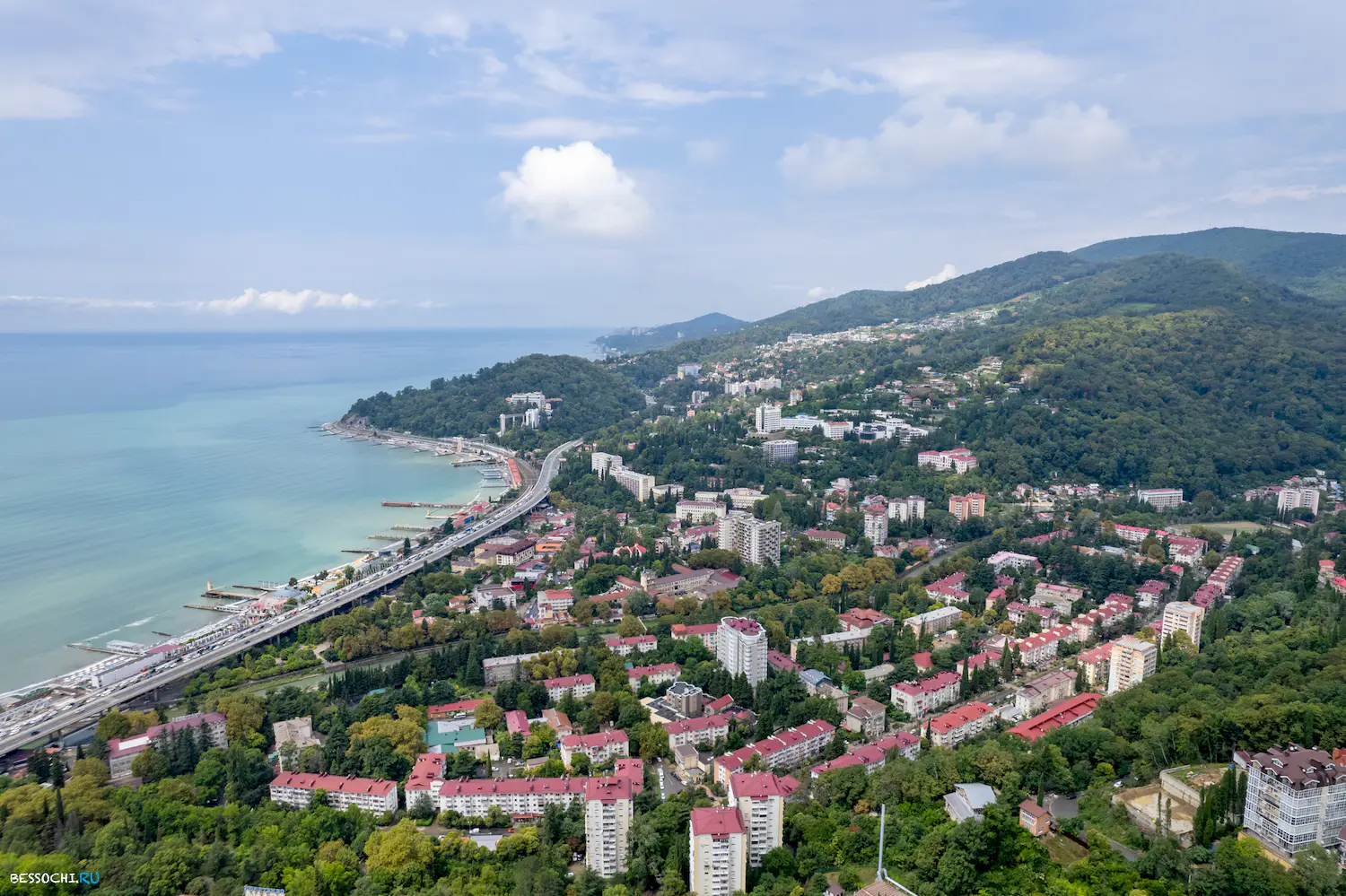 Хоста