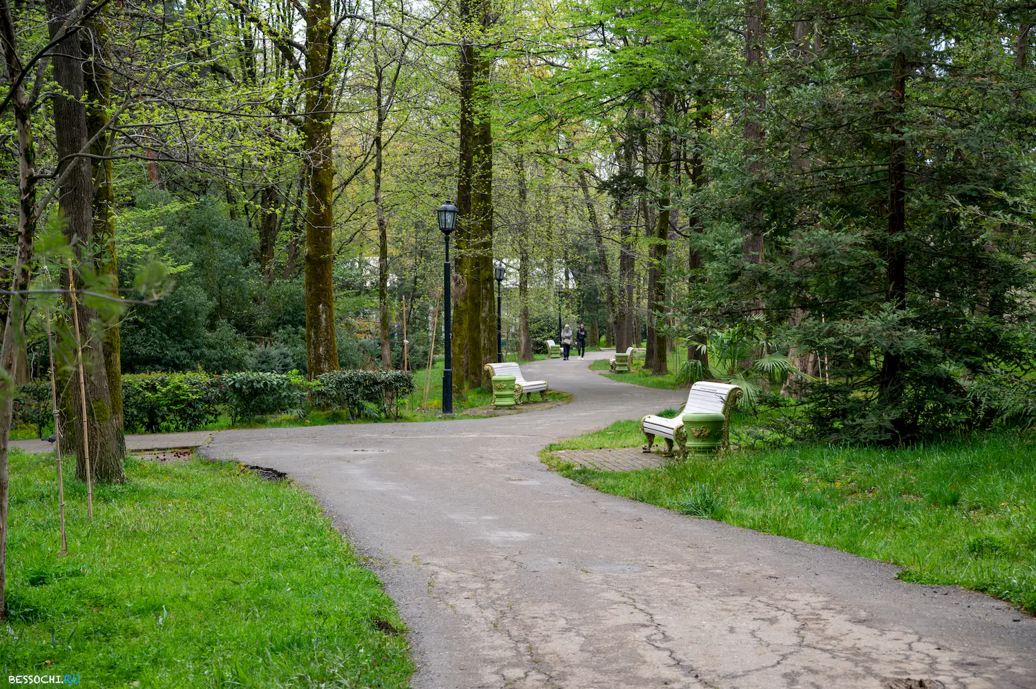 парк Ривьера