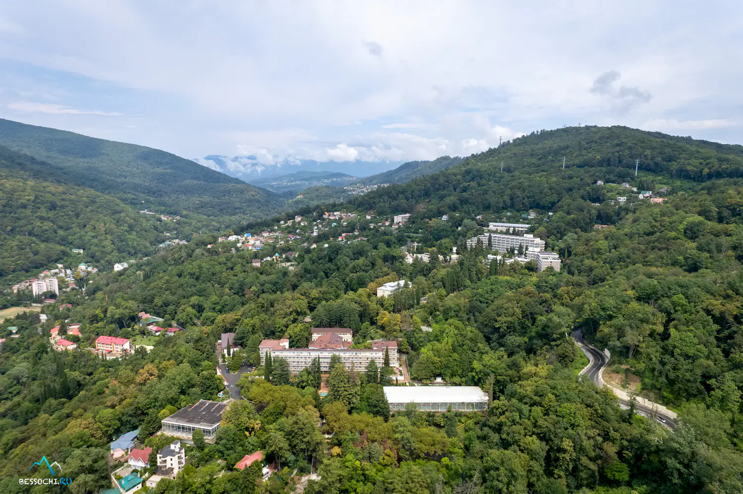 Хоста
