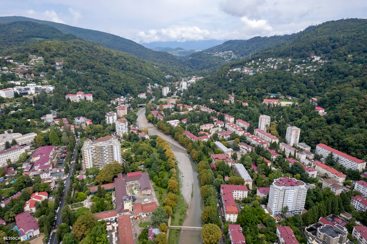 Хоста