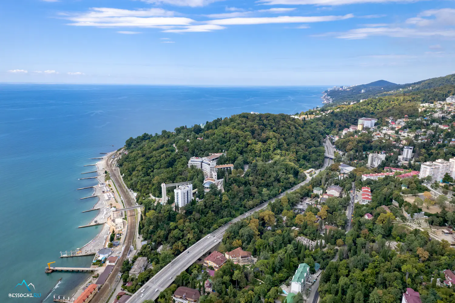 Хоста