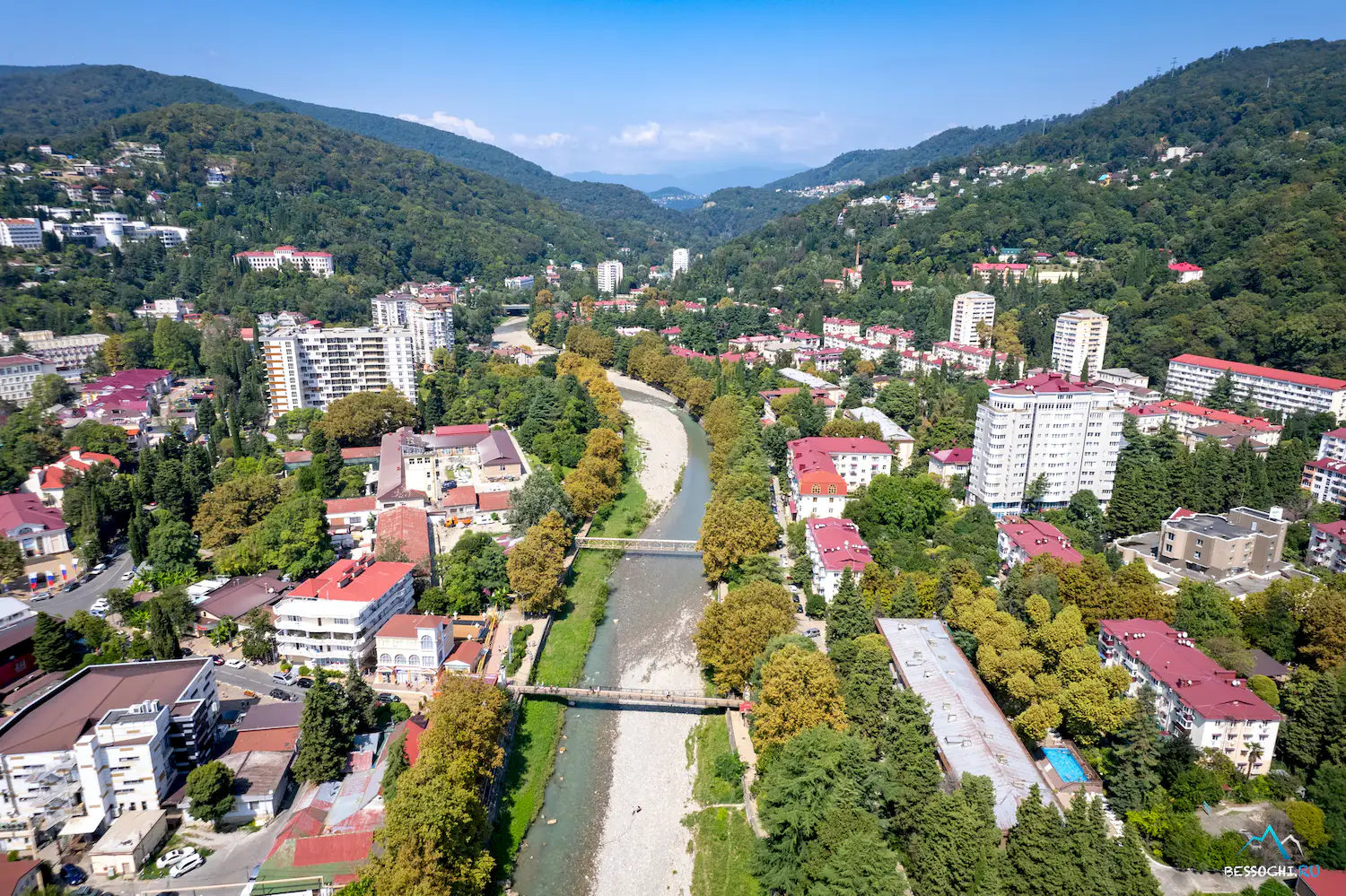Хоста