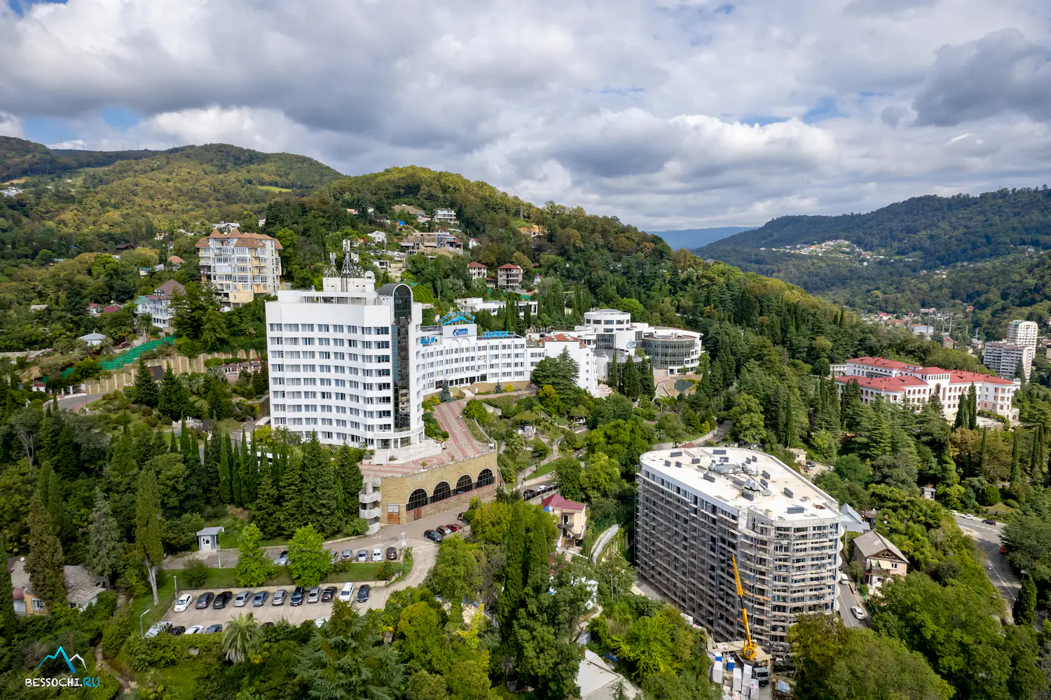 Хоста