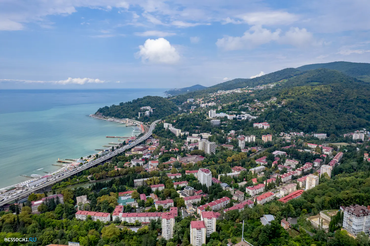 Хоста