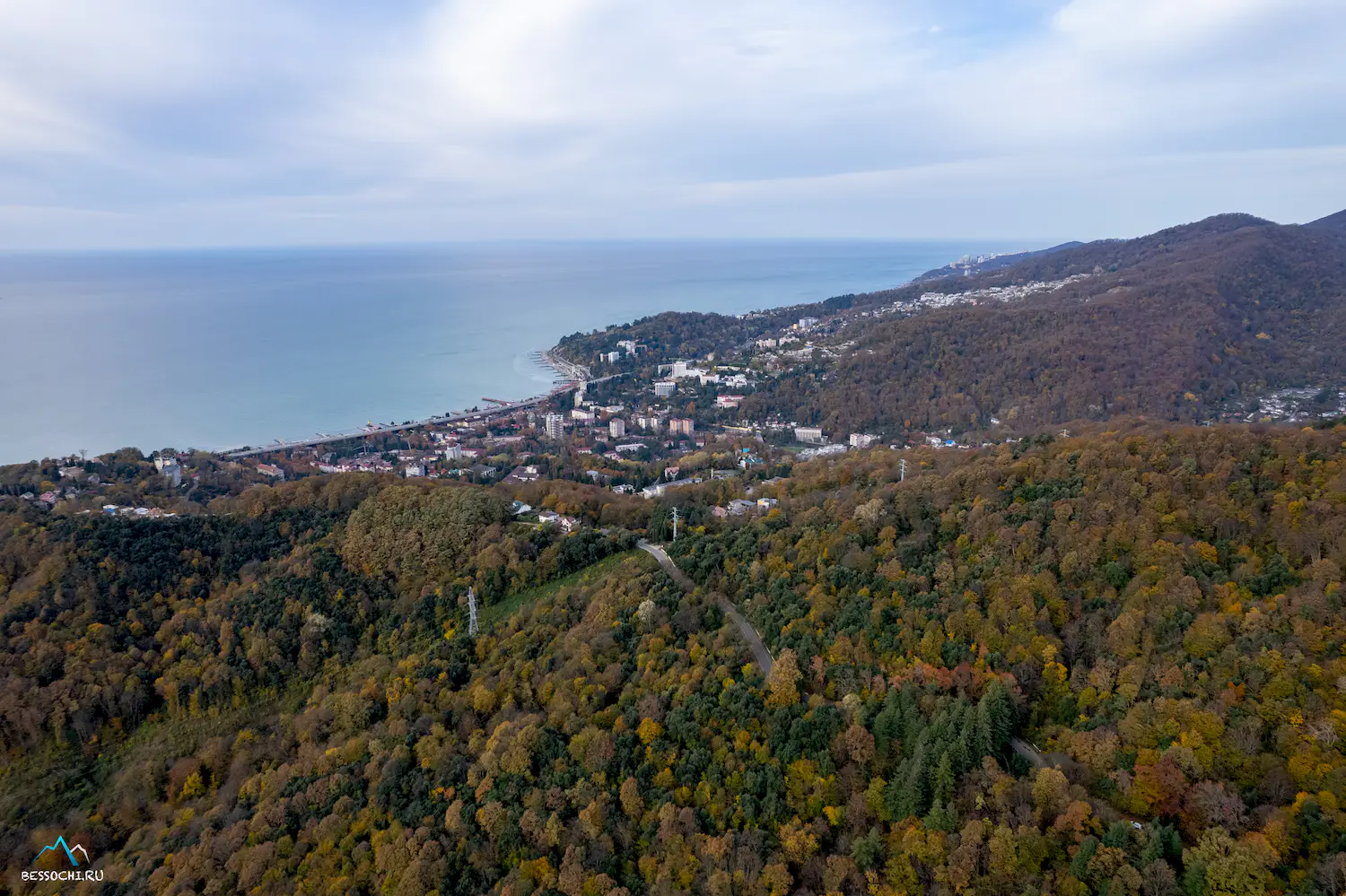 Кудепстинский лесопарк