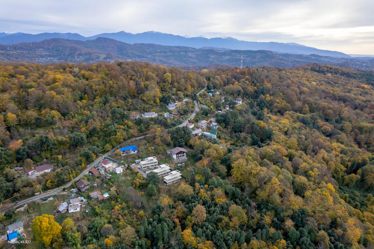 Кудепстинский лесопарк