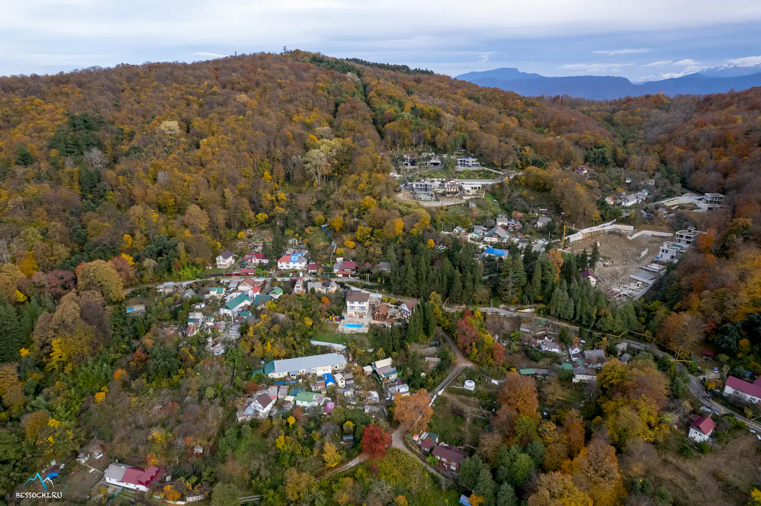 Кудепстинский лесопарк