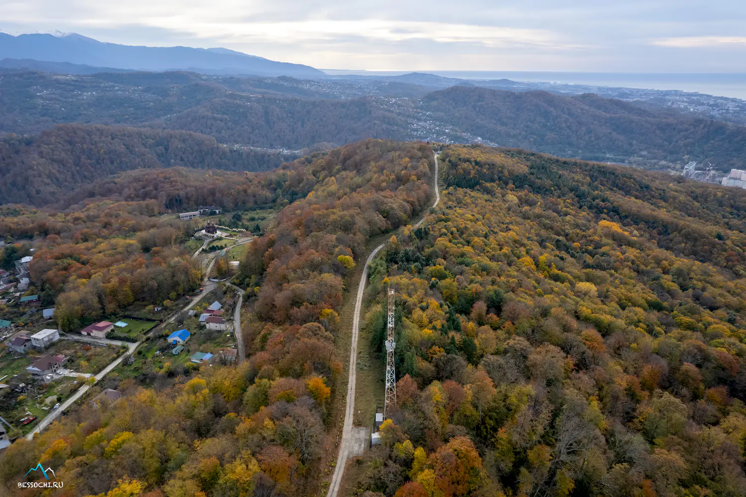 Кудепстинский лесопарк