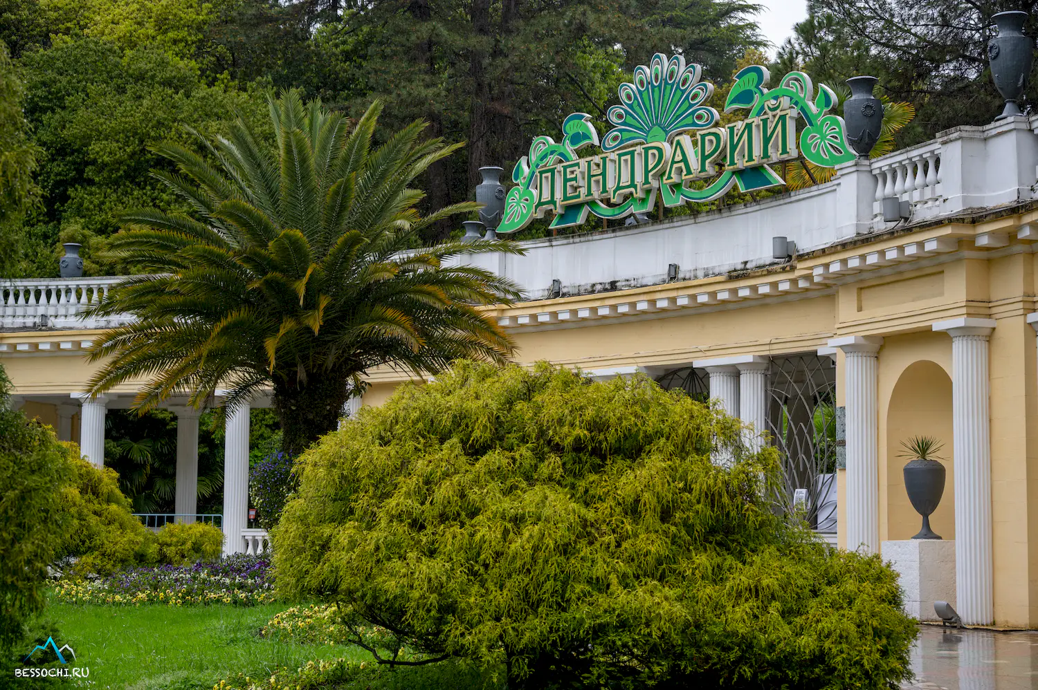 Дендрарий