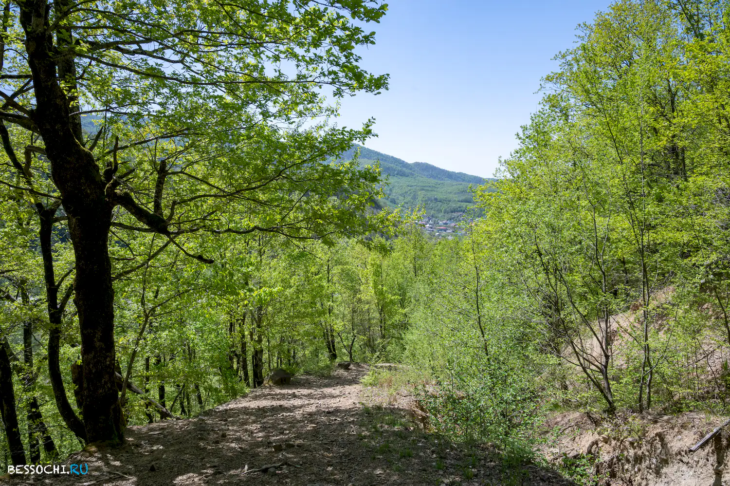 Калеж