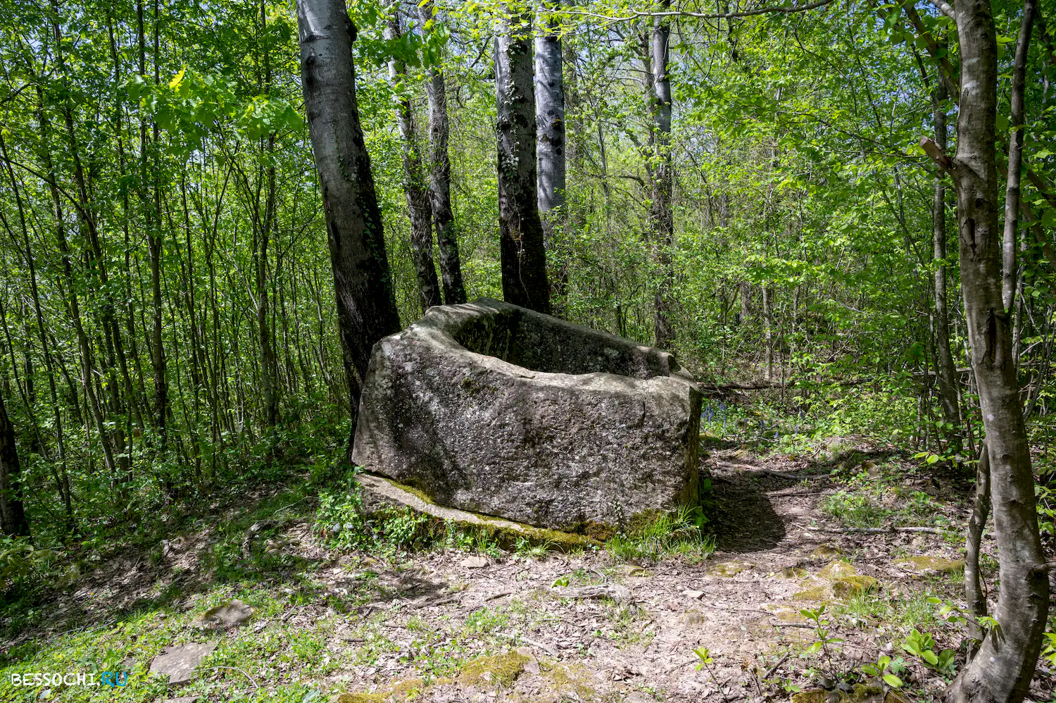 Дольмены Калеж