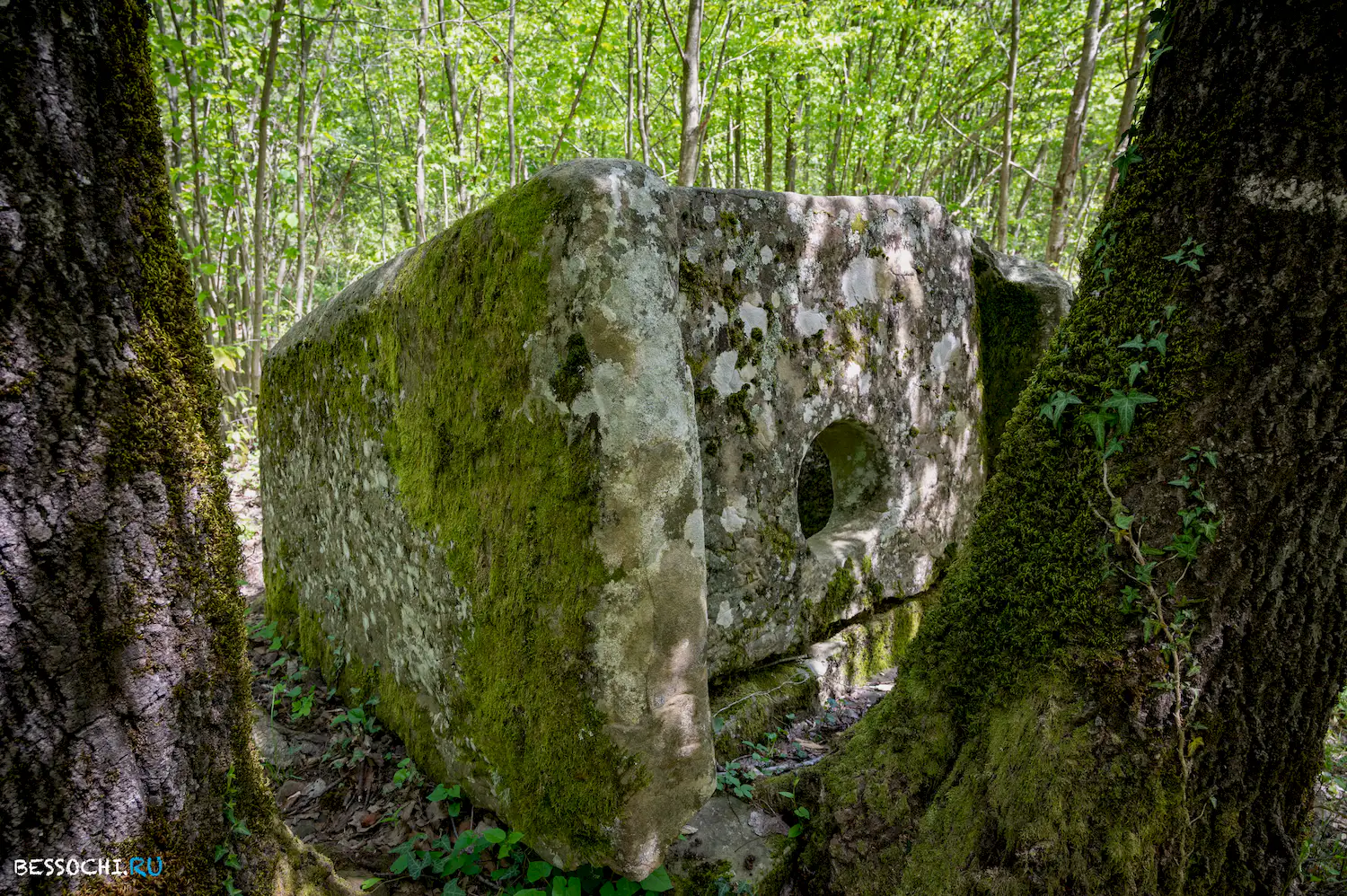 Дольмены Калеж