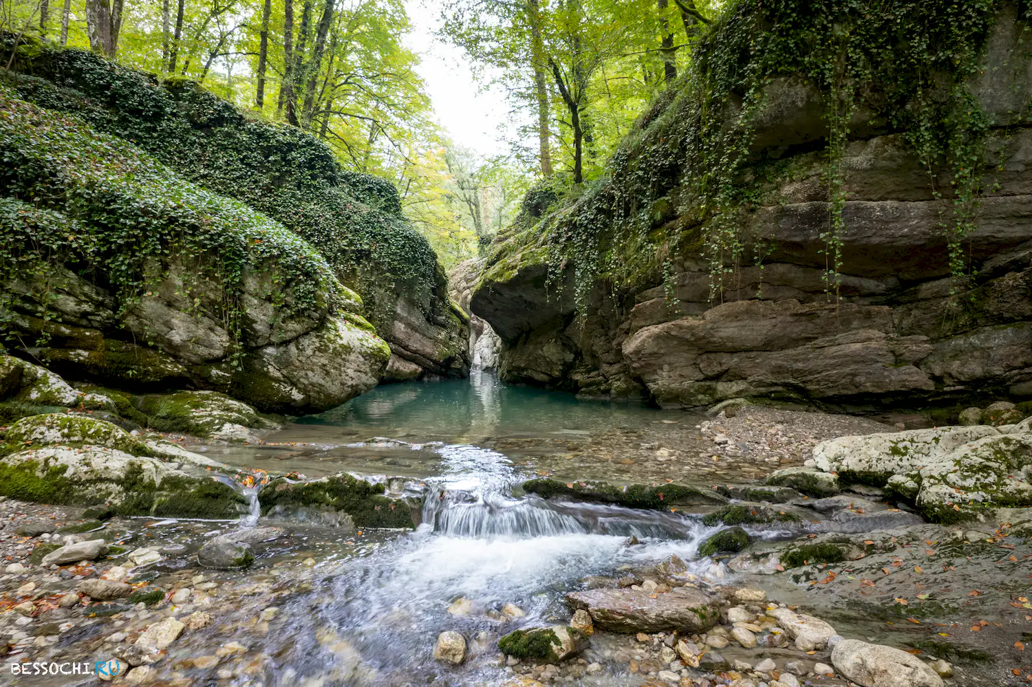 Каньон жизни