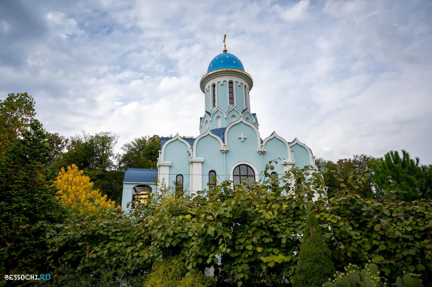 Лесное