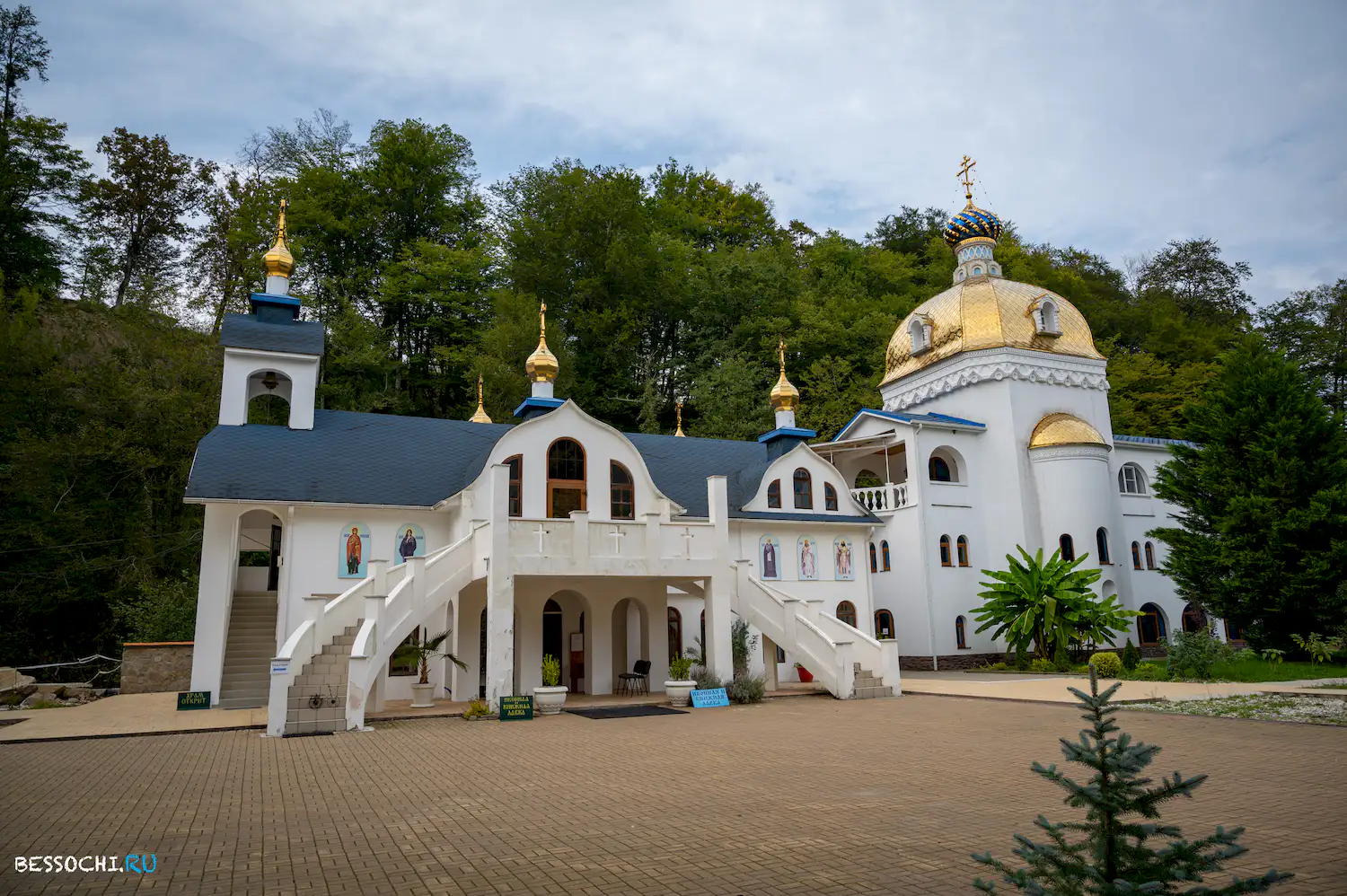 Лесное
