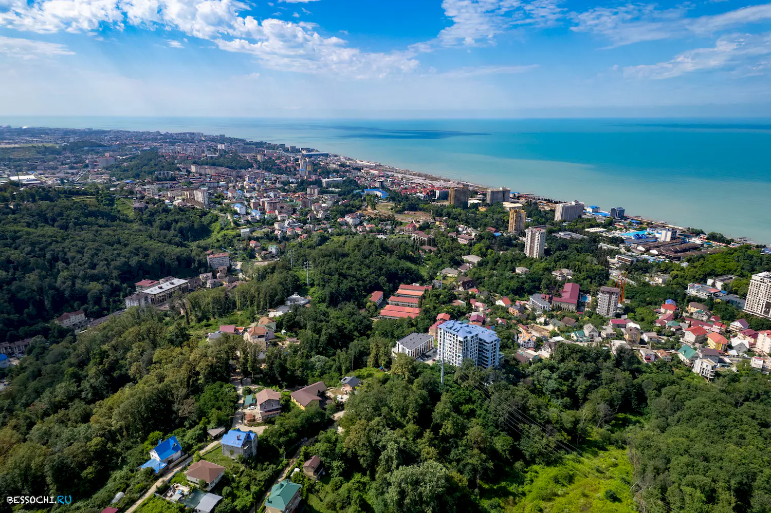 панорамы Адлера