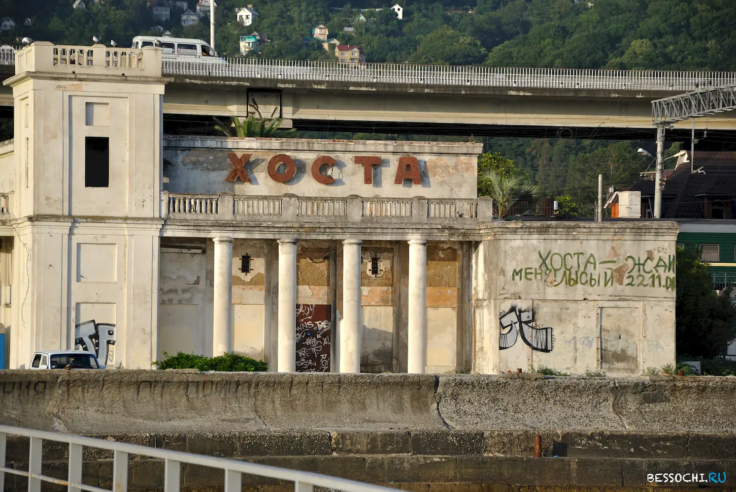 Хоста