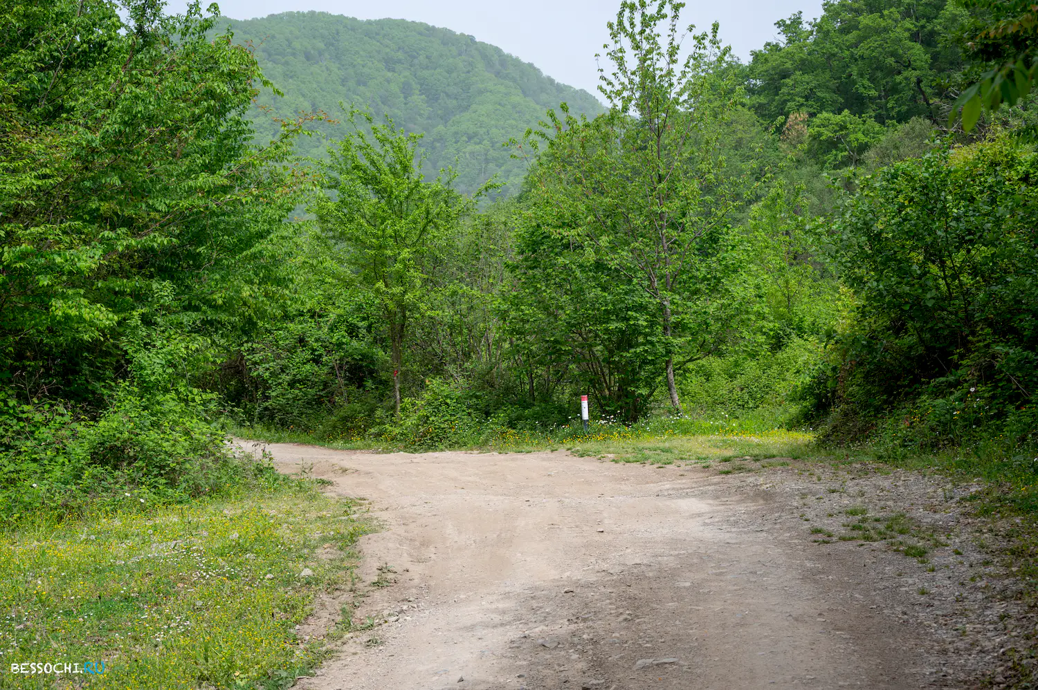 Альтмец