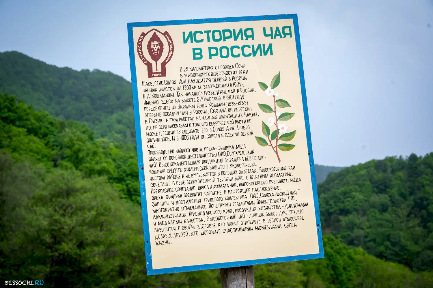 Мецкет 
