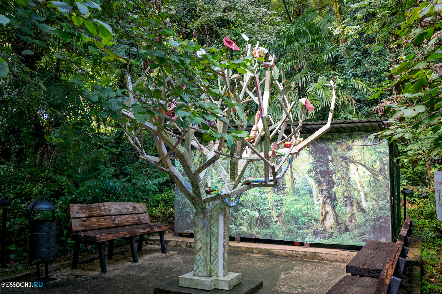 Самшитовая роща