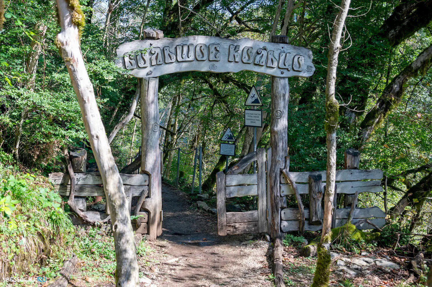 Самшитовая роща