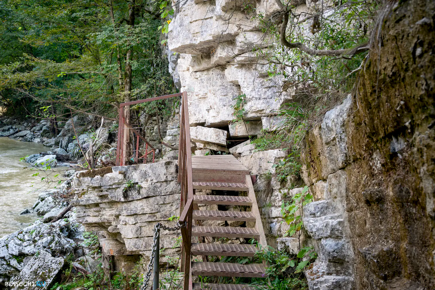 Самшитовая роща