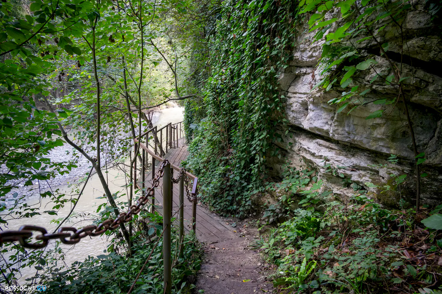 Самщитовая роща