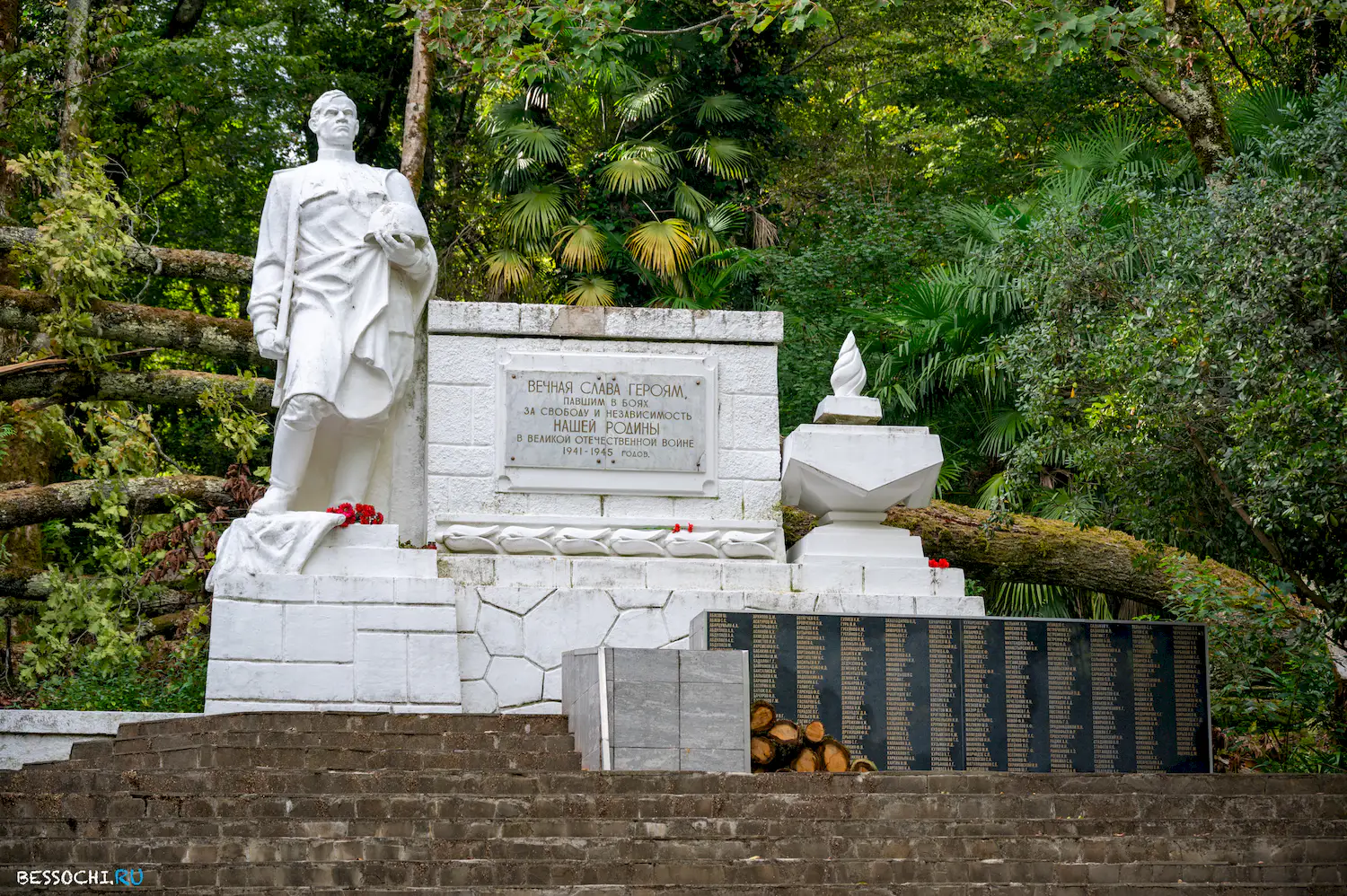 Самшитовая роща