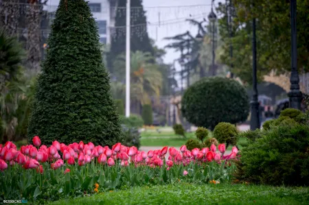 весна в сочи