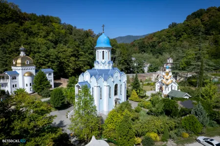Лесное