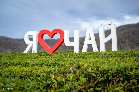Краснодарский чай